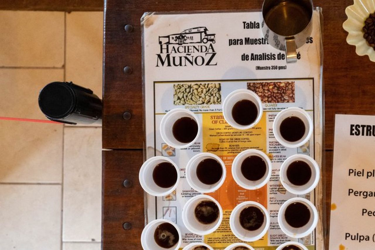 Puerto Rico piantagione di caffè e cascata River Tour — 8