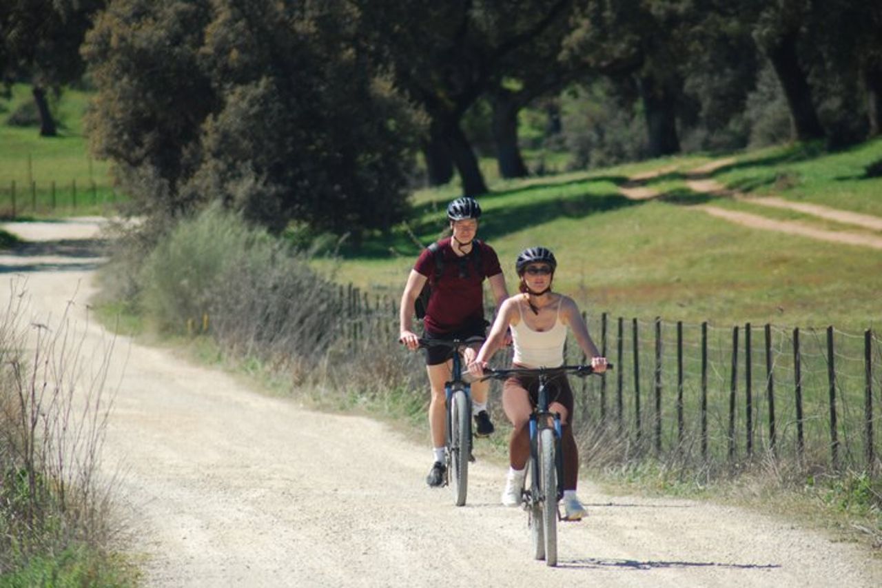 Tour in e-bike da Ronda a Setenil de las Bodegas — 3