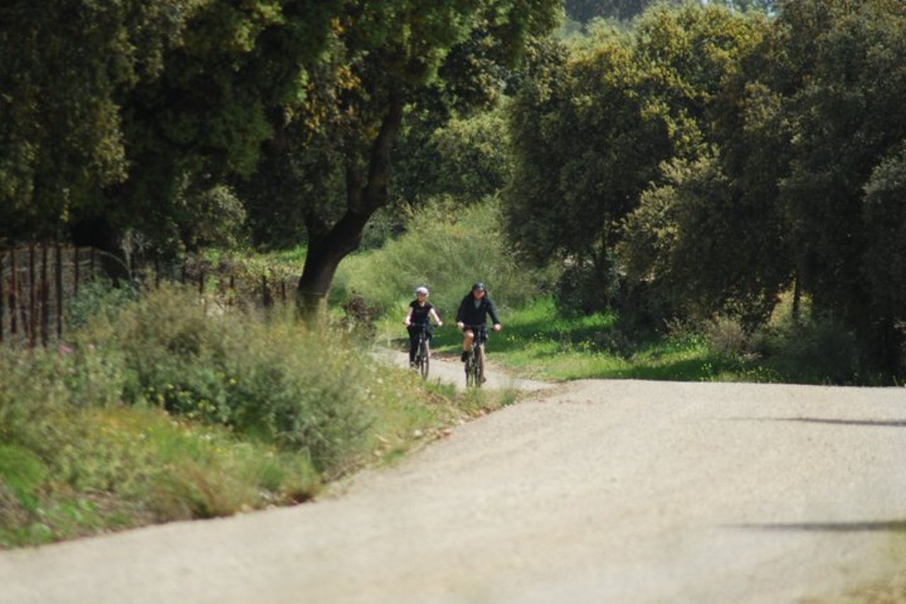 Tour in e-bike da Ronda a Setenil de las Bodegas — 7