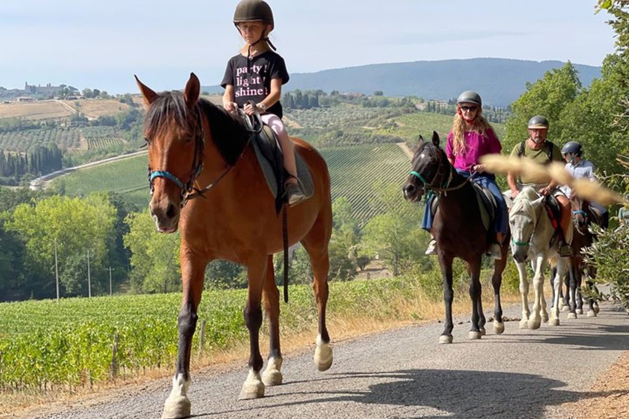 Tour del vino a cavallo per piccoli gruppi, San Gimignano, Pranzo