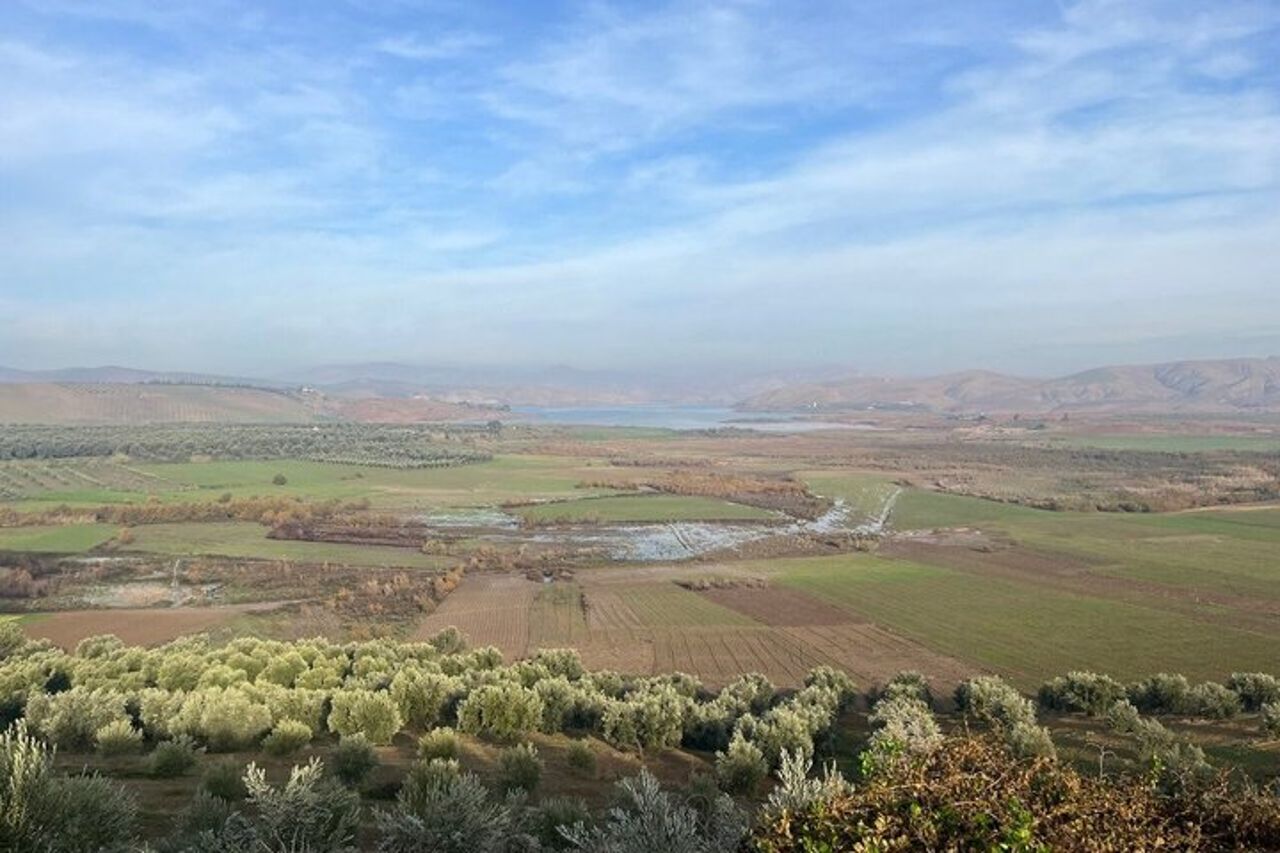 Tour di Meknes, Volubilis e Moulay Idriss Zerhoun per piccoli gruppi di un'intera giornata da Fez — 8