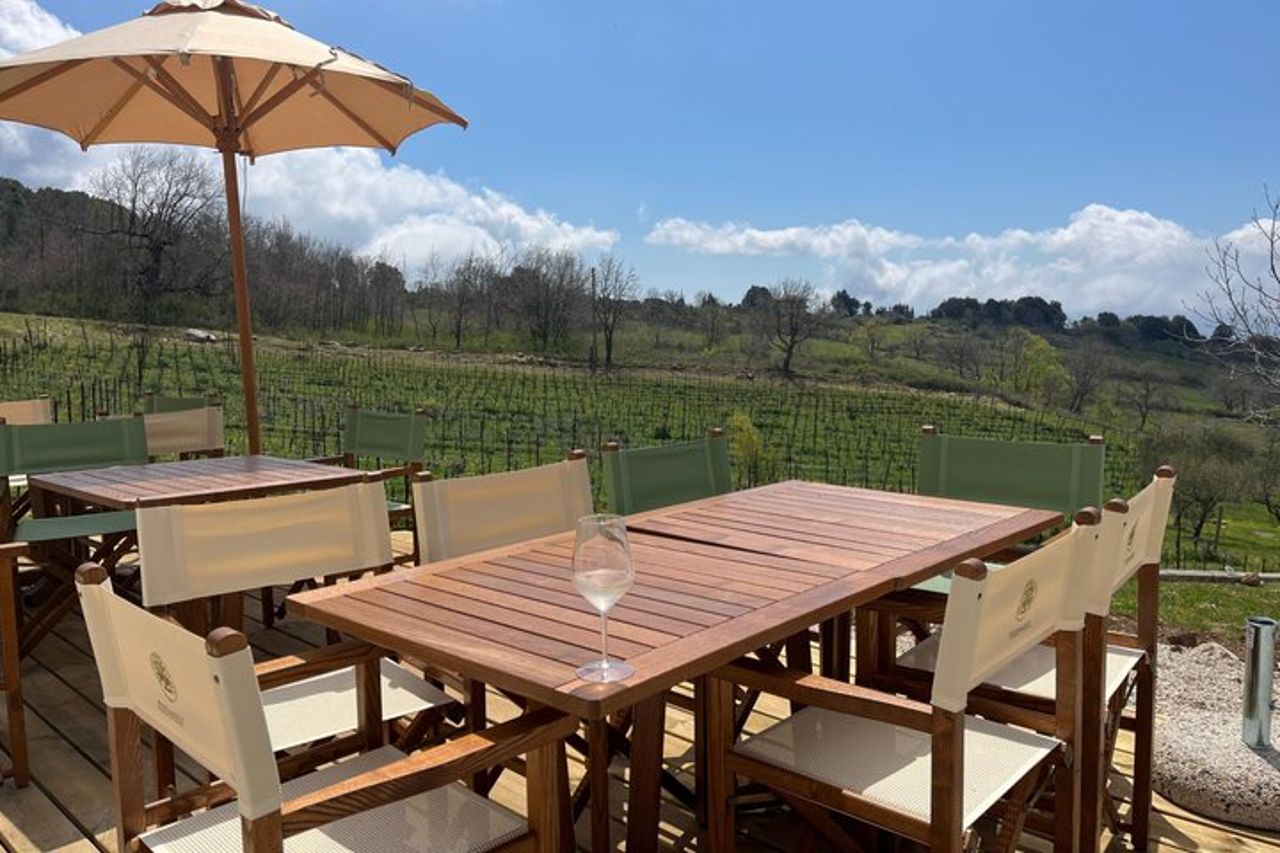 Cilento Wine: Tour & Degustazione Esperienza — 3