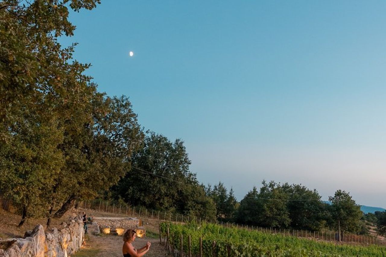 Cilento Wine: Tour & Degustazione Esperienza — 5