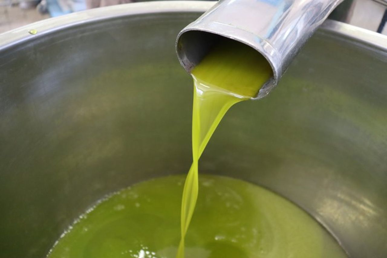 Degustazione di Olio a Sorrento — 4