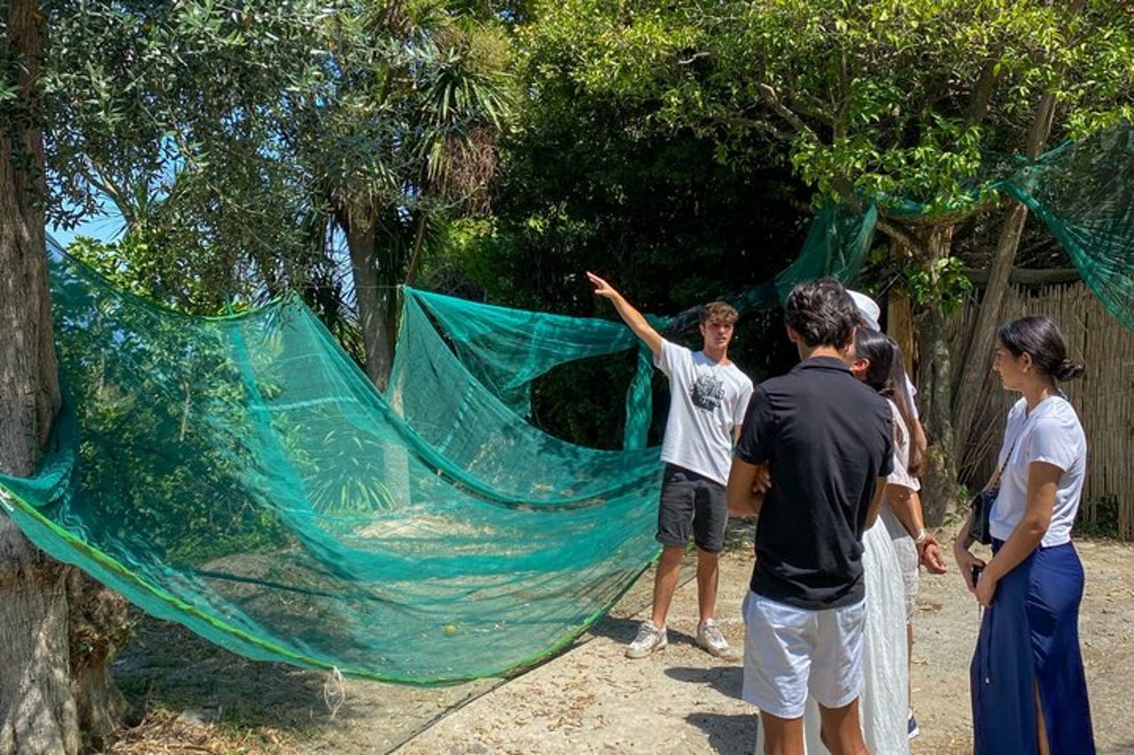 Degustazione di Olio a Sorrento — 9