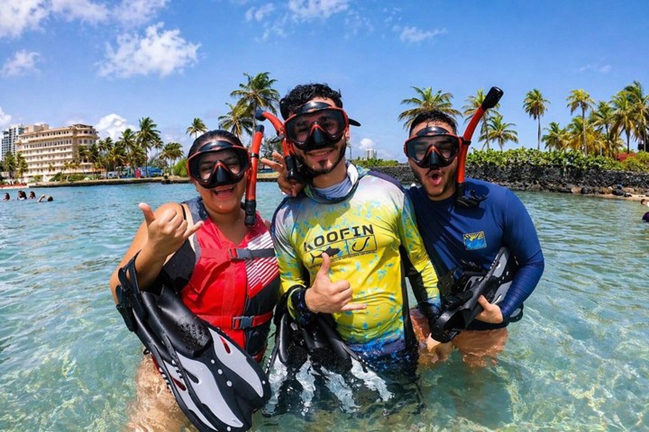 San Juan : Snorkeling con tartarughe e video gratuiti — 4