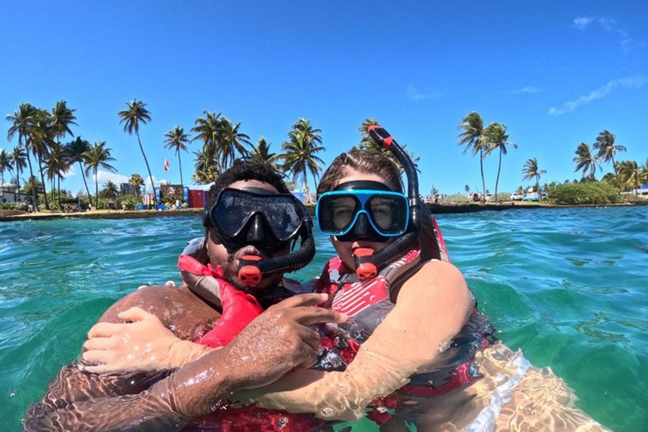 San Juan : Snorkeling con tartarughe e video gratuiti — 6