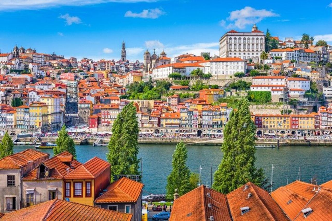 Porto - Storia, Cultura e Siti Iconici - Tour privato di un'intera giornata — 6