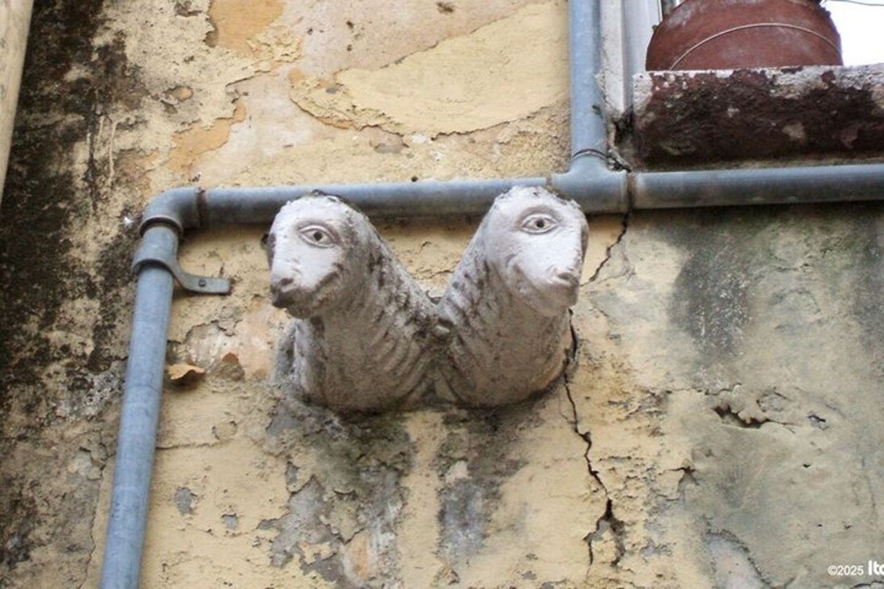 Barletta Walking Tour : la città della sfida — 9