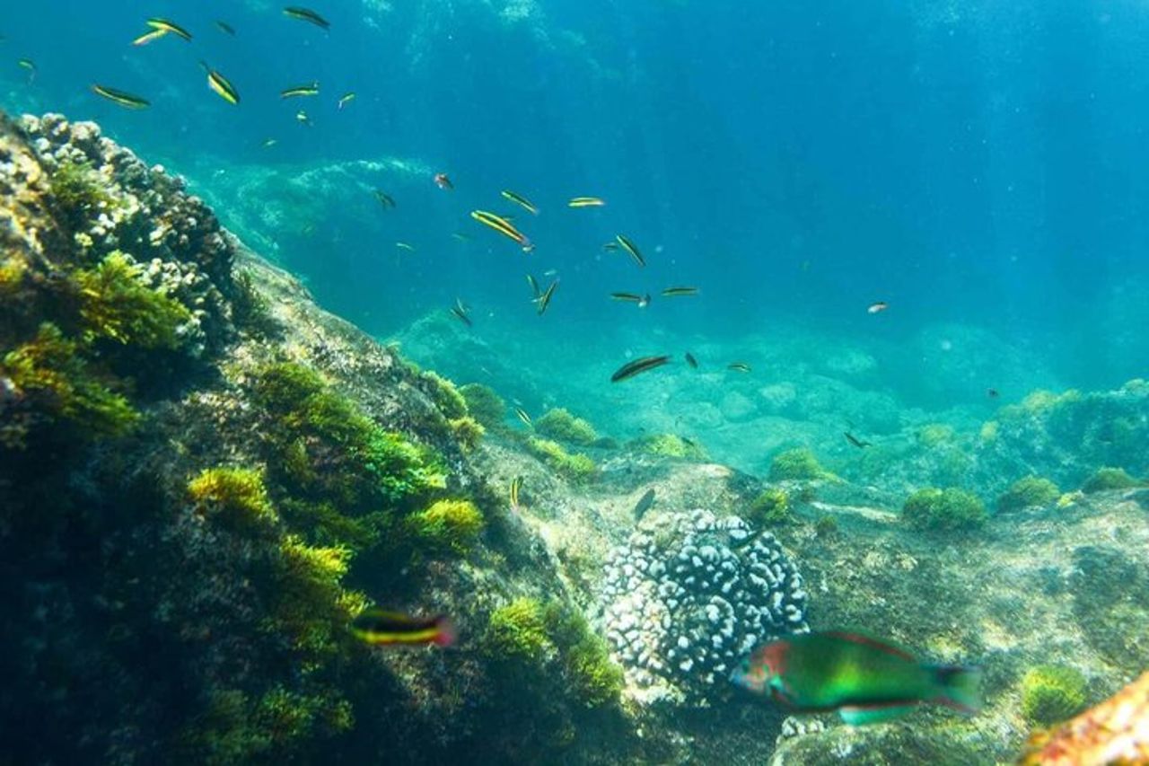 Kayak privato con fondo in vetro e snorkeling alle due baie — 9