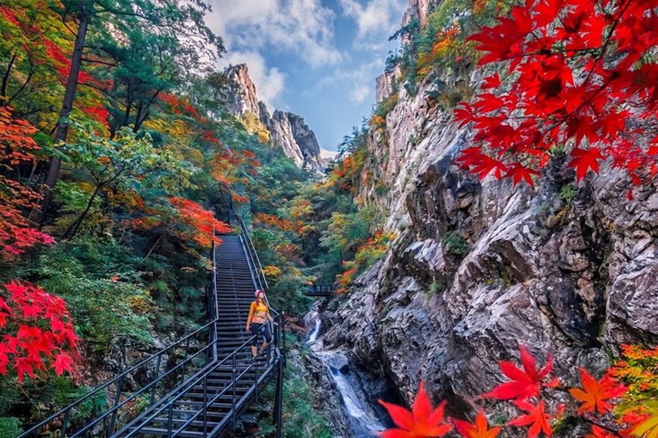 Gita di un giorno al Monte Seorak+Isola di Nami+Giardino della calma mattutina da Seul — 2