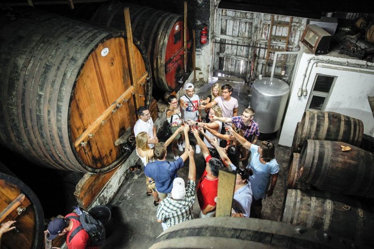 Tour di un giorno della Valle del Douro con crociera sul fiume, visita della cantina e pranzo — 8
