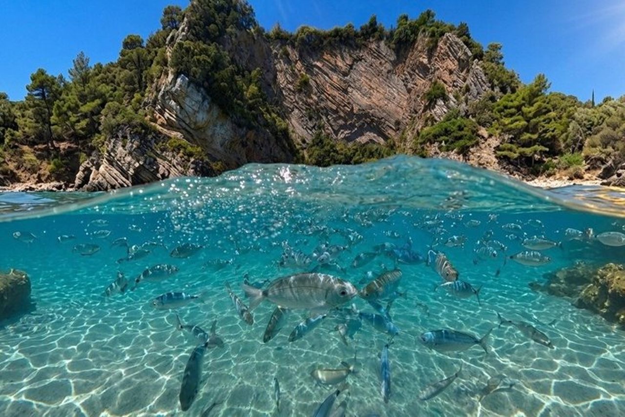 Snorkeling al relitto sommerso di Capo Palinuro — 2