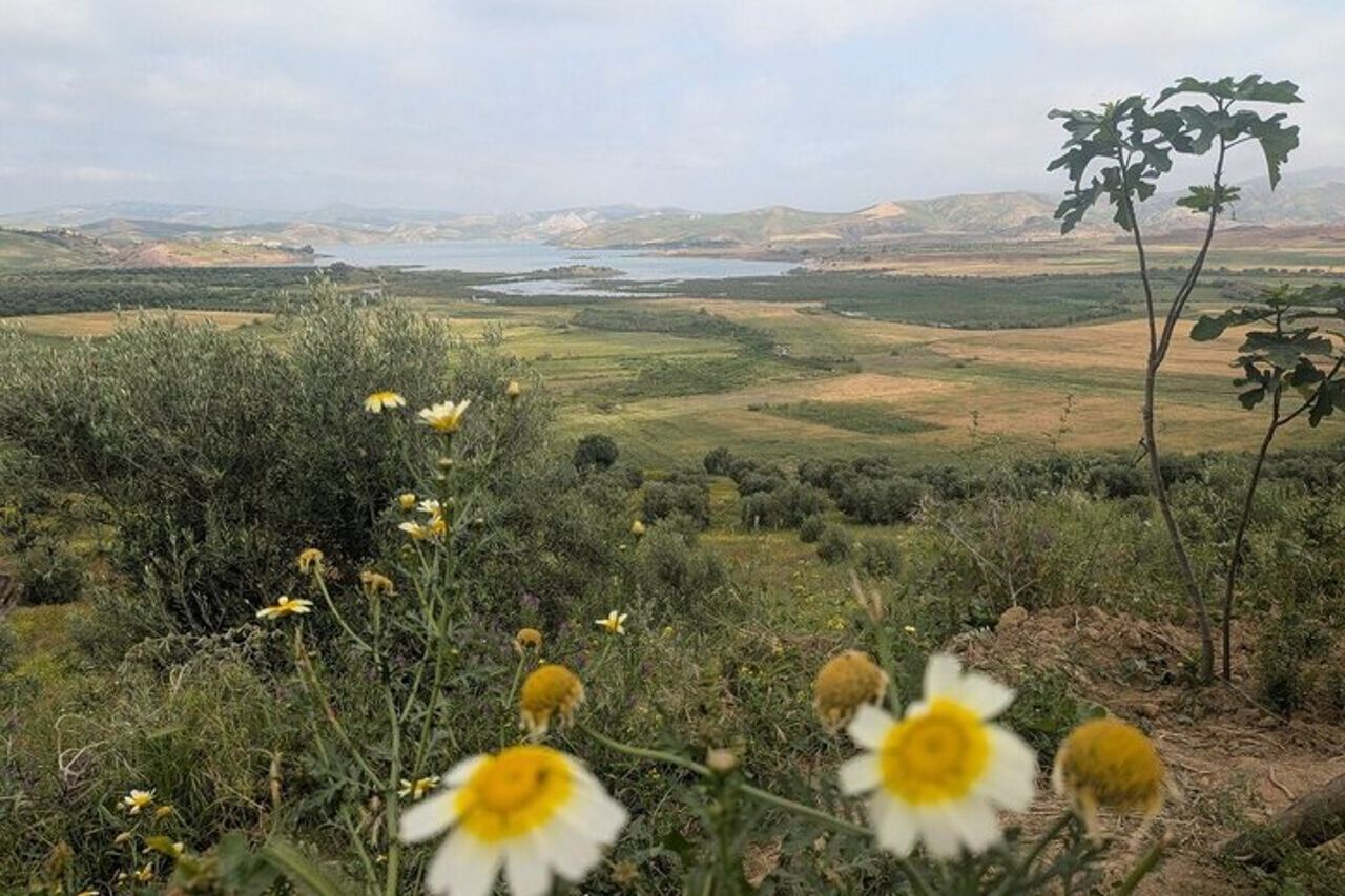 Tour di Meknes, Volubilis e Moulay Idriss Zerhoun per piccoli gruppi di un'intera giornata da Fez — 2