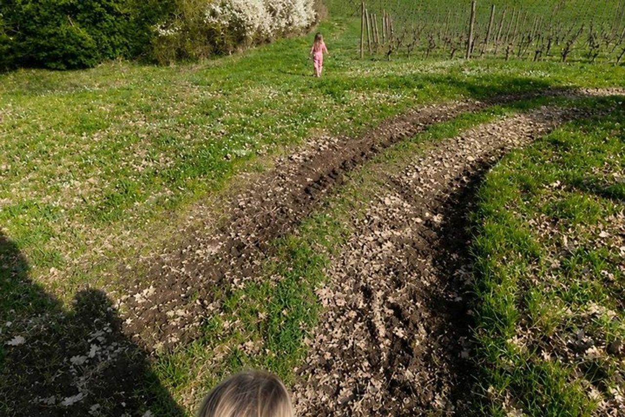Orvieto Kids Vineyard Avventura in una cantina familiare — 2