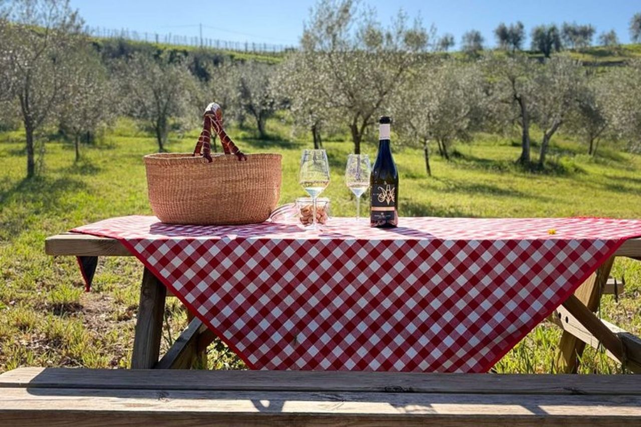 Orvieto Kids Vineyard Avventura in una cantina familiare — 3